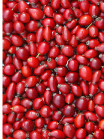 Rosehip Dried (KG)